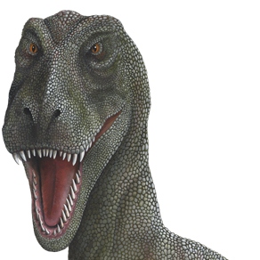 Samolepky dinosauri samolepici dekorace nalepky obrazky dinosauru Tyrannosaurus Rex T-Rex